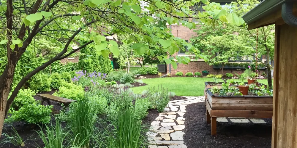 flagstone-walk-through-an-urban-garden-2025-01-29-03-17-22-utc